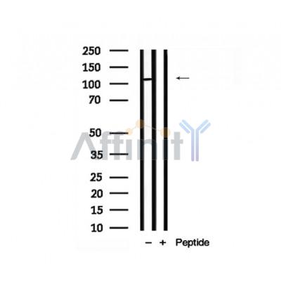 Валидация Affinity AF7798 - 4515