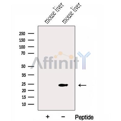 Валидация Affinity DF13048 - 7891