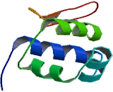 Endothelial Differentiation Related Factor 1 (EDF1) Endothelial Differentiation Related Factor 1 (EDF1)