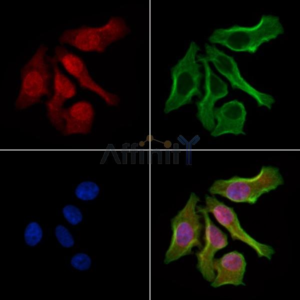 Валидация Affinity AF6344 - 3626