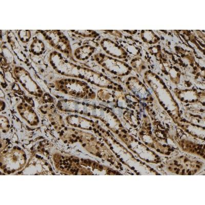 Валидация Affinity DF9234 - 21651