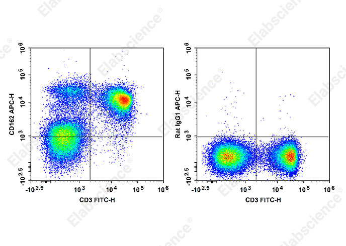 Валидация Elabscience E-AB-F1034UE