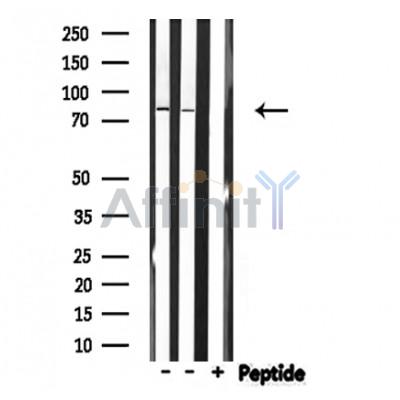 Валидация Affinity DF3457 - 14366