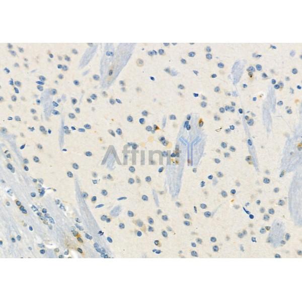 Валидация Affinity DF9764 - 22595