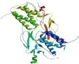 Interleukin 15 (IL15) Interleukin 15 (IL15)