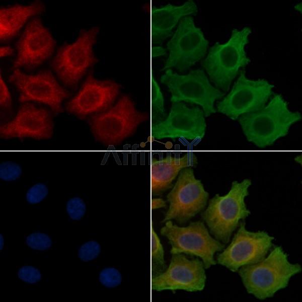 Валидация Affinity DF4177 - 15522