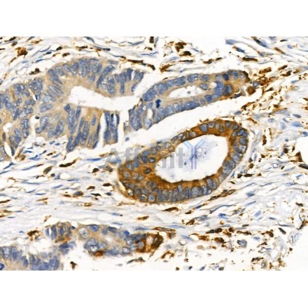 Валидация Affinity DF3215 - 14034