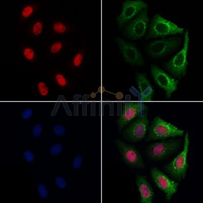 Валидация Affinity DF6761 - 18324