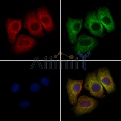 Валидация Affinity DF12619 - 7249