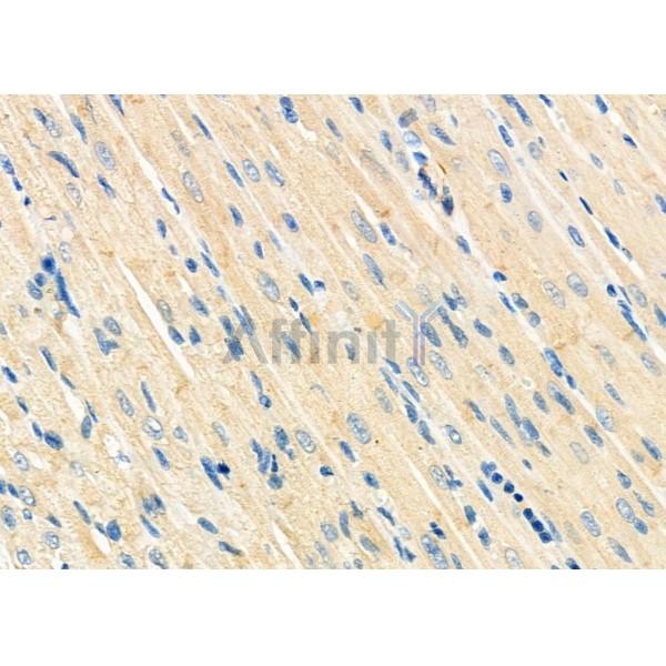 Валидация Affinity DF7937 - 19774