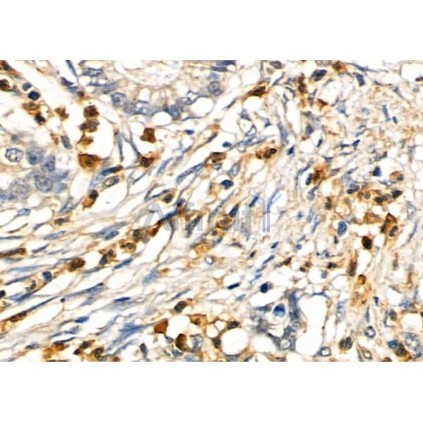 Валидация Affinity DF6530 - 17952