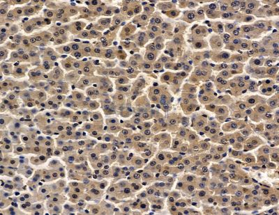 Валидация Affinity DF13979 - 9735