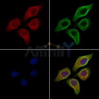 Валидация Affinity DF7501 - 19240