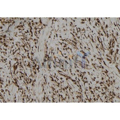 Валидация Affinity DF12129 - 6288