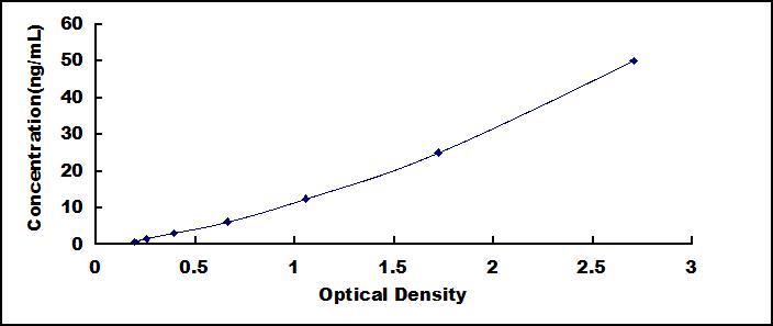 46098