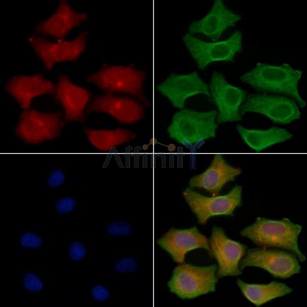 Валидация Affinity DF7646 - 19414