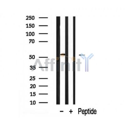 Валидация Affinity AF7898 - 4642