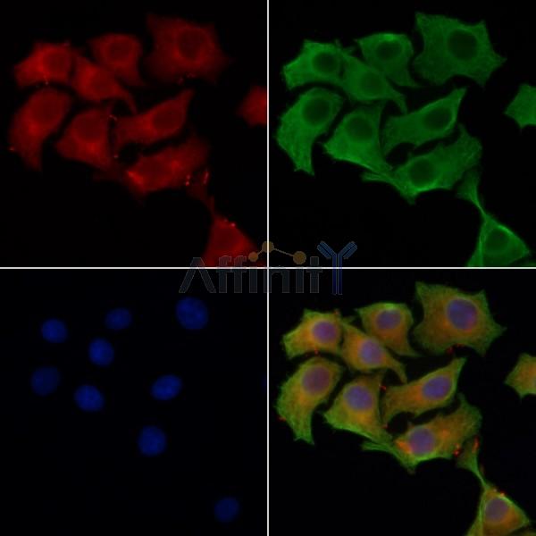 Валидация Affinity DF3091 - 13845