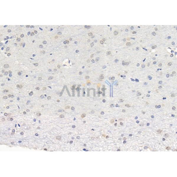 Валидация Affinity DF9898 - 22858