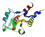 Protein Kinase, AMP Activated Gamma 1 (PRKAg1)