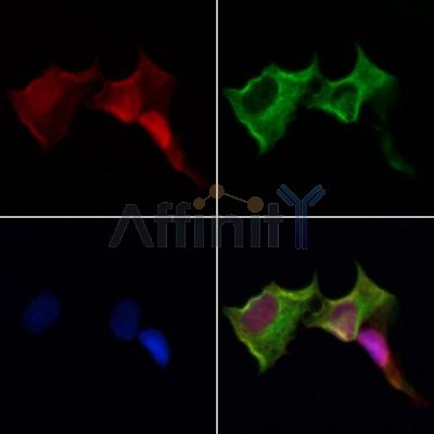 Валидация Affinity AF4112 - 2167