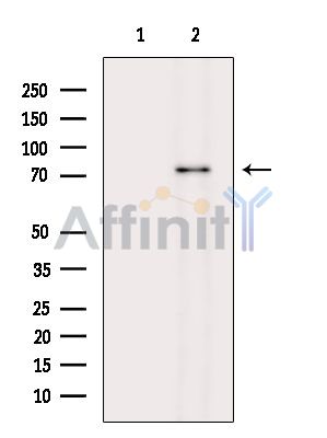 Валидация Affinity DF13857 - 9568