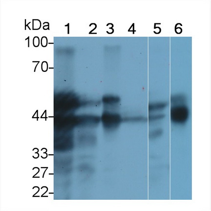 10401