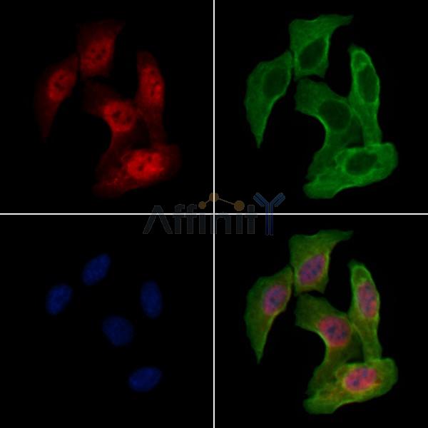 Валидация Affinity DF4826 - 16584