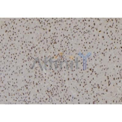 Валидация Affinity DF6941 - 18554