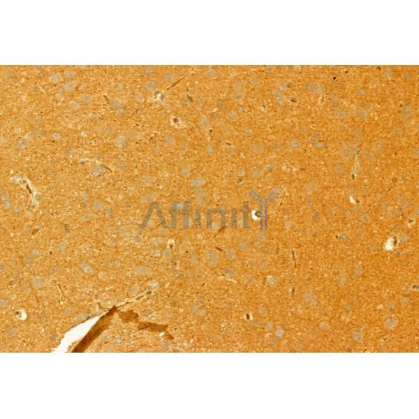 Валидация Affinity DF12303 - 6680