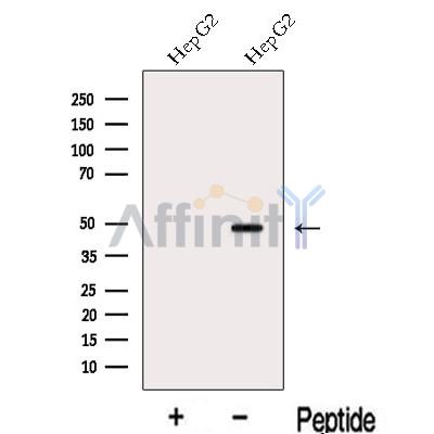 Валидация Affinity DF13139 - 8079