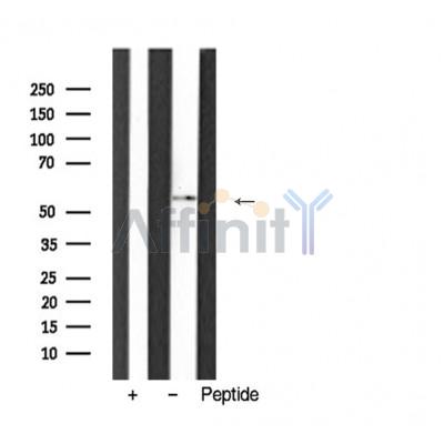 Валидация Affinity AF5394 - 3034