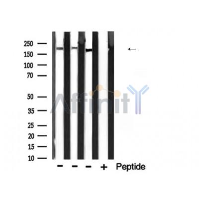 Валидация Affinity AF5346 - 2939