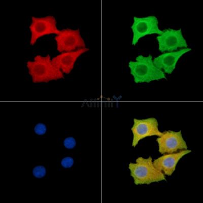 Валидация Affinity DF14973 - 11173