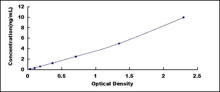 56040