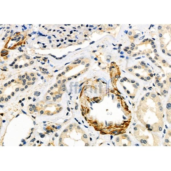 Валидация Affinity DF9187 - 21560