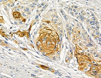 Валидация Affinity DF15684 - 12141