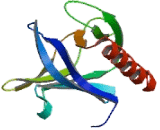 Cytohesin 3 (CYTH3) Cytohesin 3 (CYTH3)