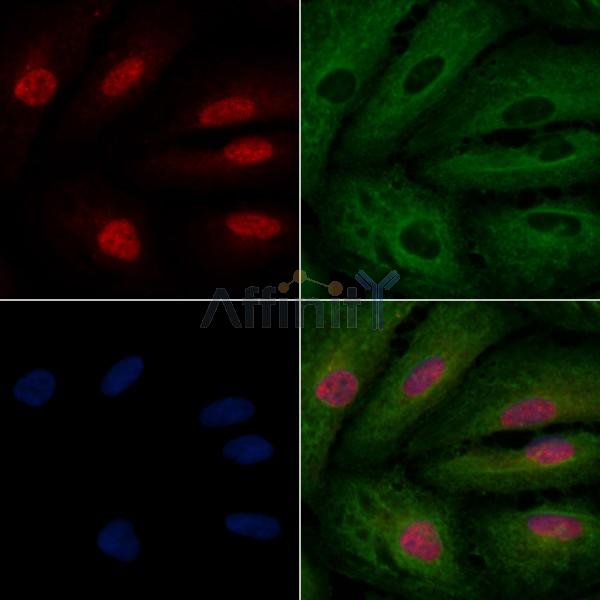 Валидация Affinity DF2286 - 12842