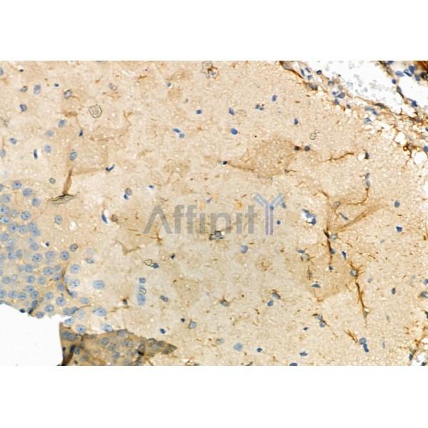 Валидация Affinity DF6465 - 17854