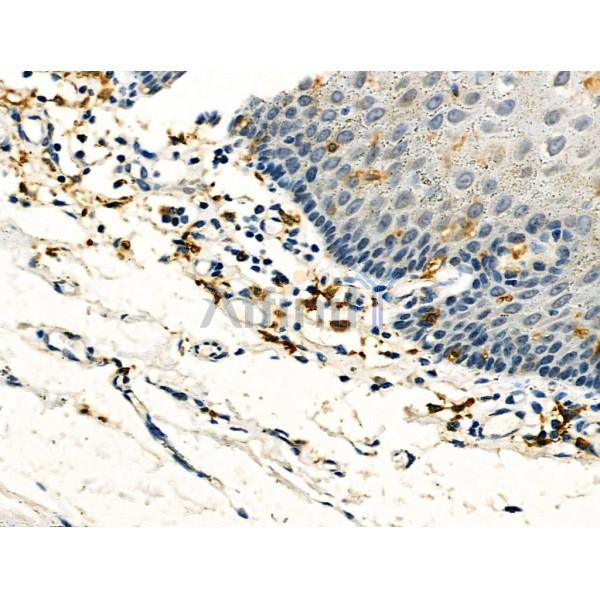 Валидация Affinity DF6402 - 17764