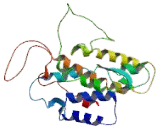G Protein Coupled Receptor 25 (GPR25) G Protein Coupled Receptor 25 (GPR25)