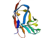 Cluster Of Differentiation 276 (CD276) Cluster Of Differentiation 276 (CD276)