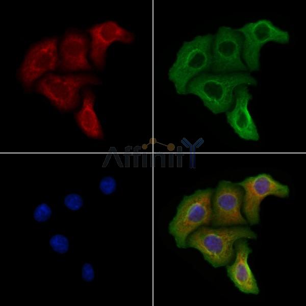 Валидация Affinity DF8994 - 21200