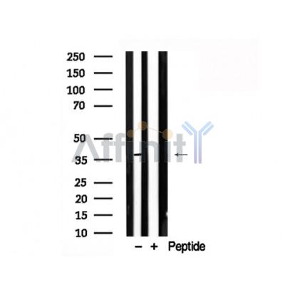 Валидация Affinity AF7741 - 4439