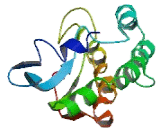 Semaphorin 6B (SEMA6B) Semaphorin 6B (SEMA6B)