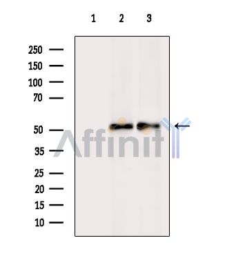 Валидация Affinity DF13940 - 9685