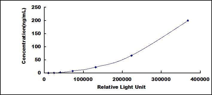 50391