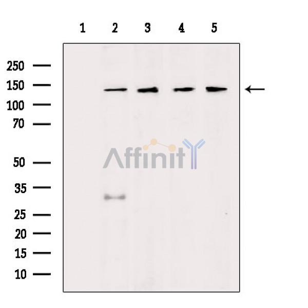 Валидация Affinity DF8223 - 20055
