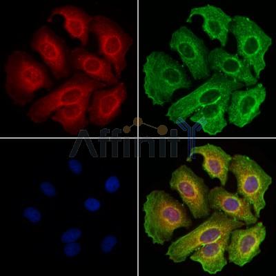 Валидация Affinity DF13319 - 8486